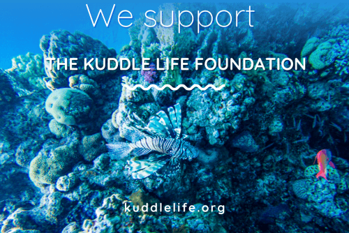 We support the " Kuddle life fondation"